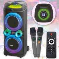Портативна акустична колонка ZXX-9900 з 2 мікрофонами динаміки 2х10 дюймів