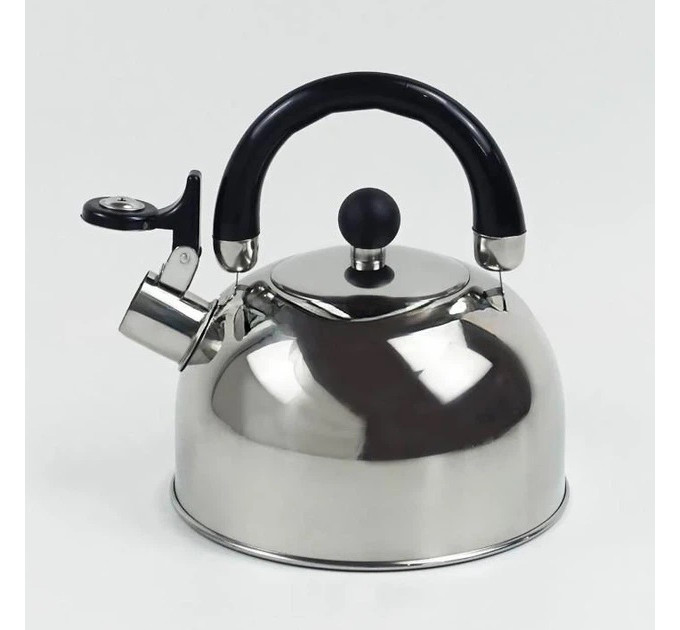 Чайник Edenberg EB-1346 із нержавіючої сталі зі свистком 2.5л Silver