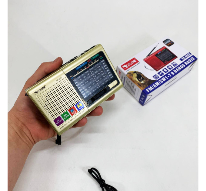 Портативная колонка радио MP3 USB Golon RX-6622. Цвет: золотой
