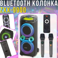 Портативная акустическая колонка ZXX-9900 с 2 микрофонами динамики 2х10 дюймов