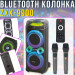Портативная акустическая колонка ZXX-9900 с 2 микрофонами динамики 2х10 дюймов