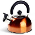 Чайник Edenberg EB-1346 из нержавеющей стали со свистком 2.5л Orange