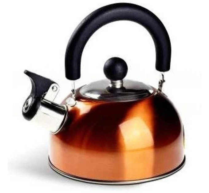 Чайник Edenberg EB-1346 из нержавеющей стали со свистком 2.5л Orange