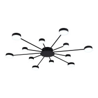 Люстра стельова LED на 12 LED з пультом ДУ Miorro Foresta 51-313-004 1120х18 мм чорна