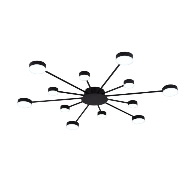 Люстра стельова LED на 12 LED з пультом ДУ Miorro Foresta 51-313-004 1120х18 мм чорна