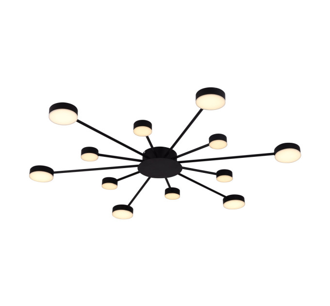 Люстра стельова LED на 12 LED з пультом ДУ Miorro Foresta 51-313-004 1120х18 мм чорна