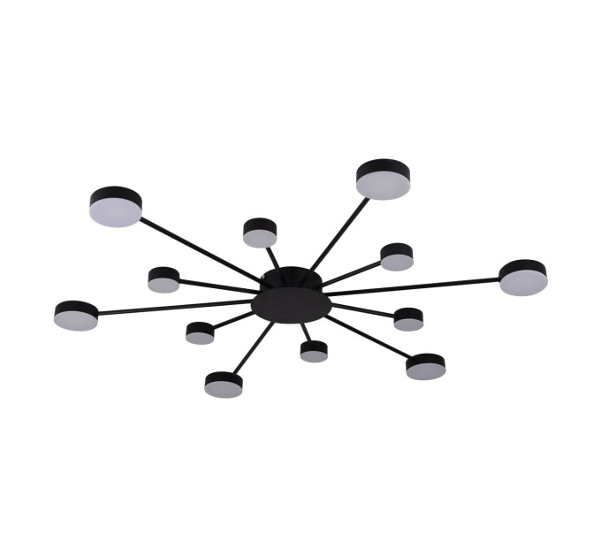 Люстра стельова LED на 12 LED з пультом ДУ Miorro Foresta 51-313-004 1120х18 мм чорна